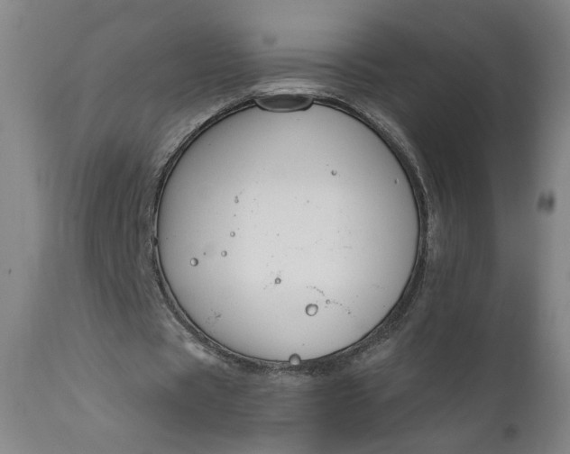 X0000111170529200907151301