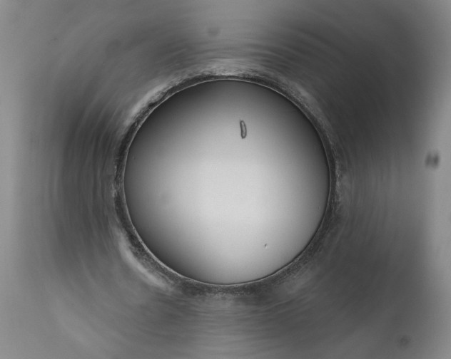 X0000111170530200907151301