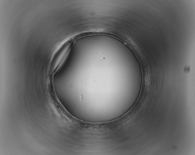 X0000111170532200907151301