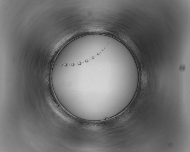 X0000111170533200907151301