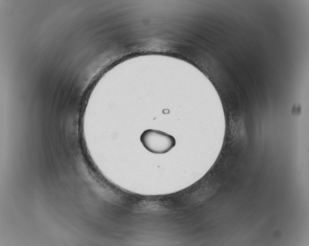 X0000111170534200907151301