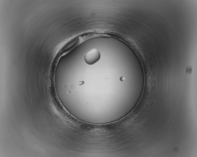 X0000111170536200907151301