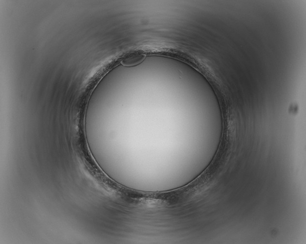 X0000111170539200907151301