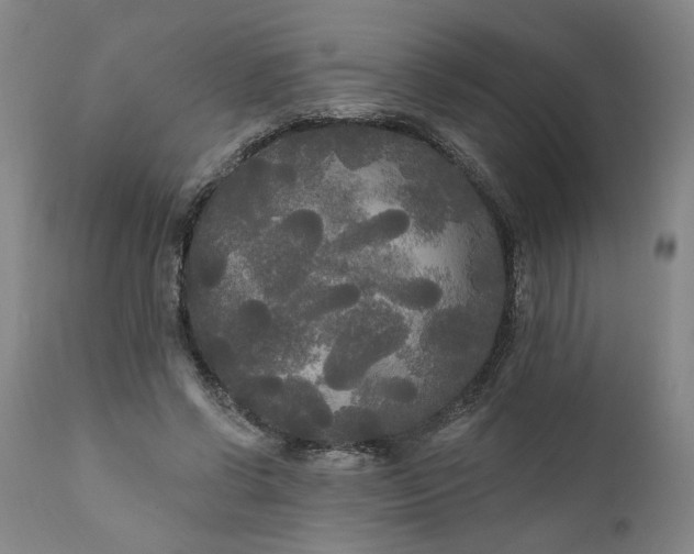 X0000111170542200907151301