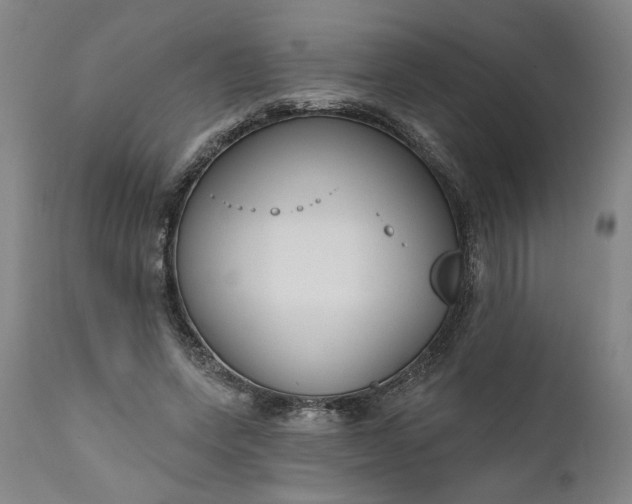 X0000111170543200907151301