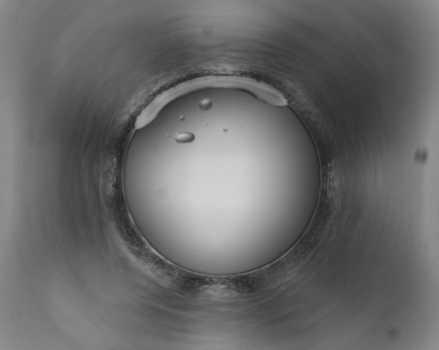 X0000111170544200907151301