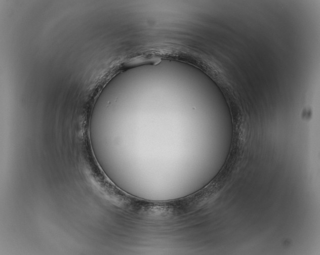 X0000111170546200907151301