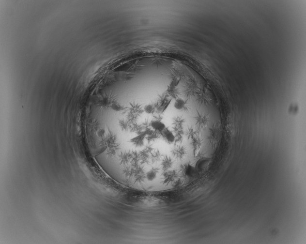 X0000111170547200907151301