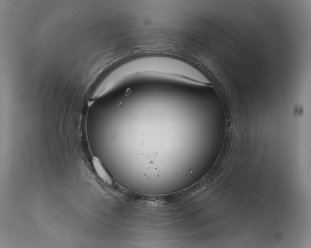 X0000111170548200907151302