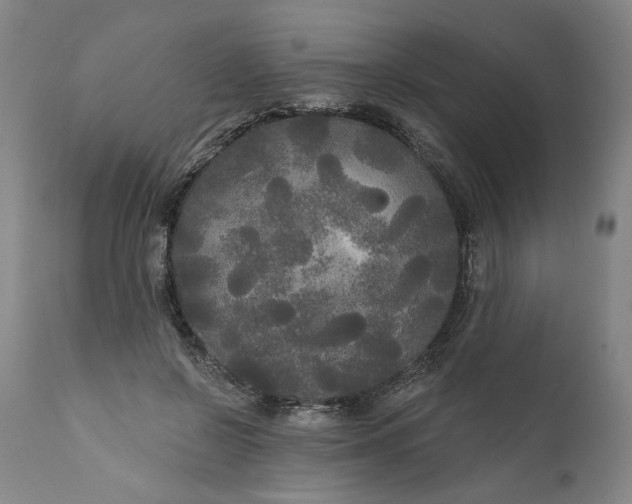 X0000111170550200907151302