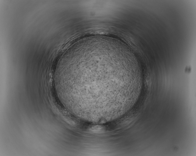 X0000111170551200907151302