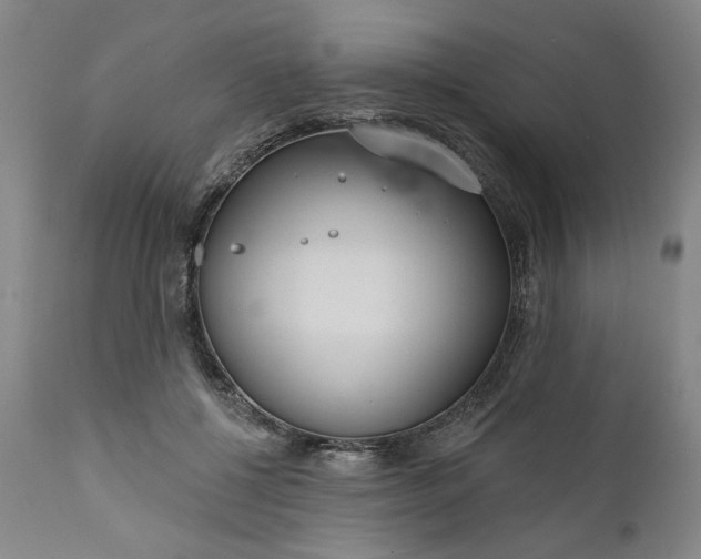 X0000111170552200907151302