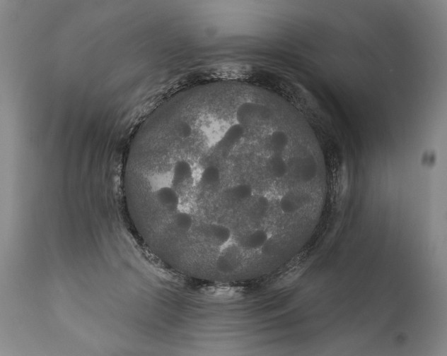 X0000111170553200907151302