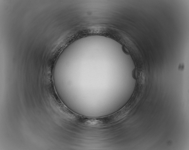 X0000111170557200907151302