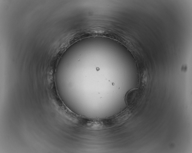 X0000111170559200907151302