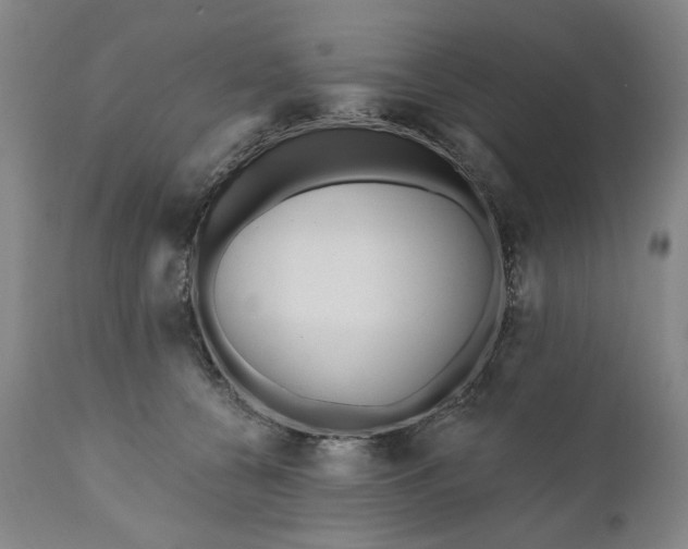 X0000111170560200907151302