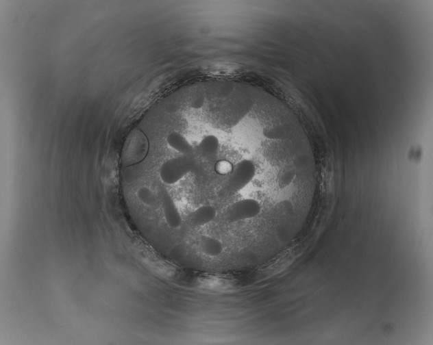 X0000111170561200907151302