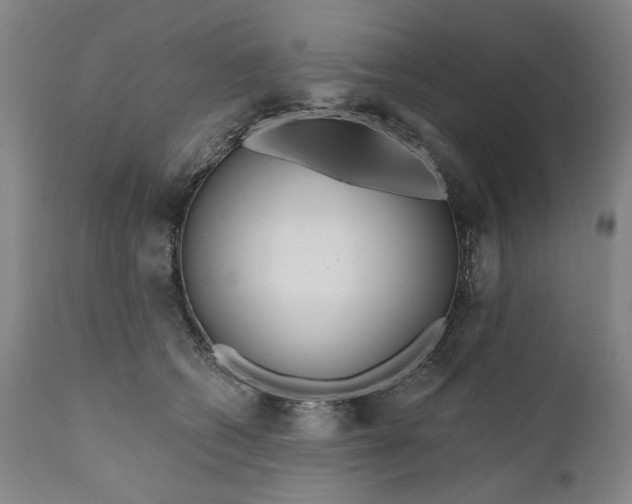 X0000111170562200907151302