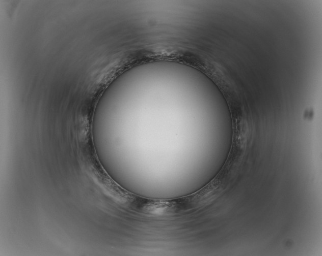 X0000111170563200907151302