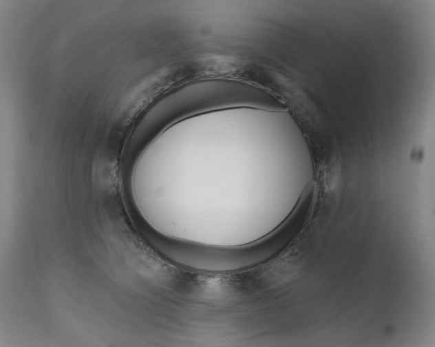 X0000111170564200907151302