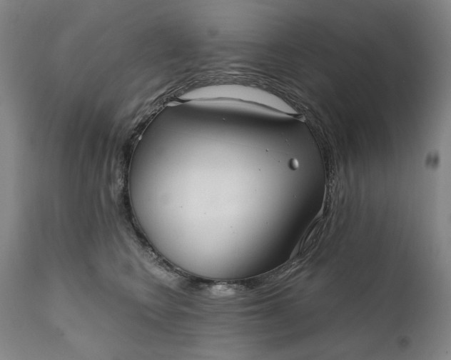 X0000111170566200907151302