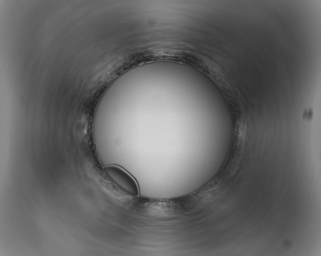 X0000111170567200907151302