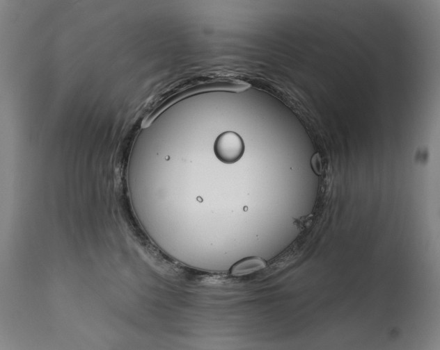 X0000111170568200907151302