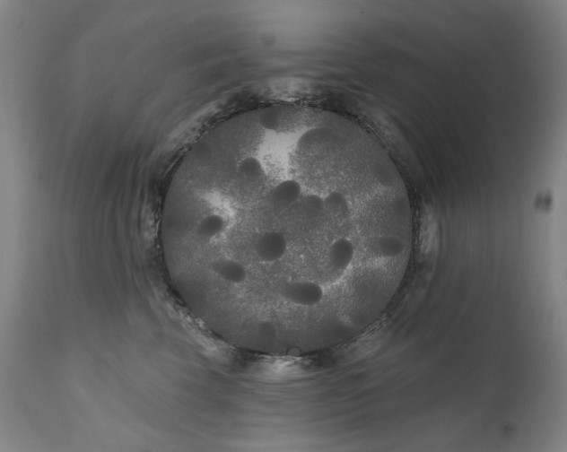 X0000111170569200907151302