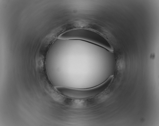 X0000111170570200907151302