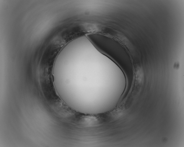 X0000111170572200907151302