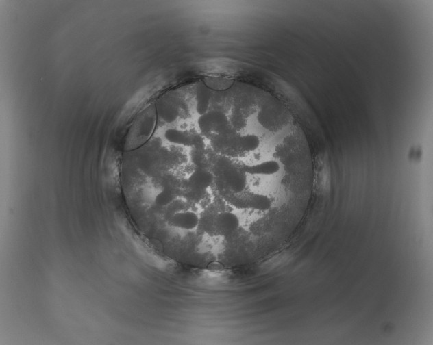 X0000111170573200907151302