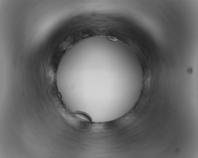 X0000111170574200907151302