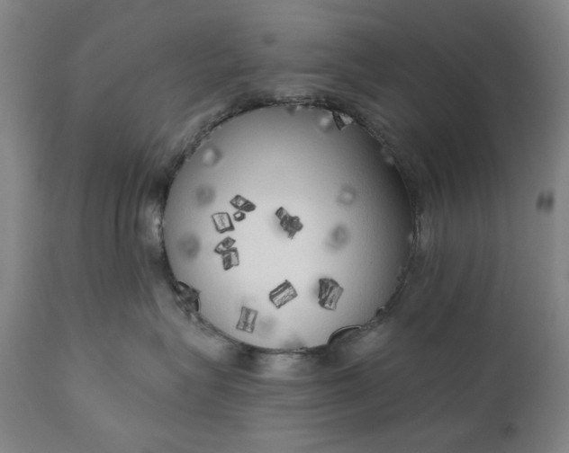 X0000111170575200907151302