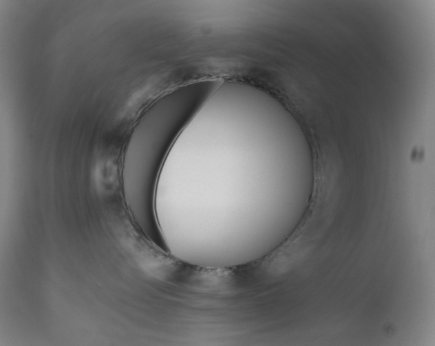 X0000111170576200907151302