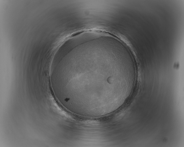 X0000111170577200907151301