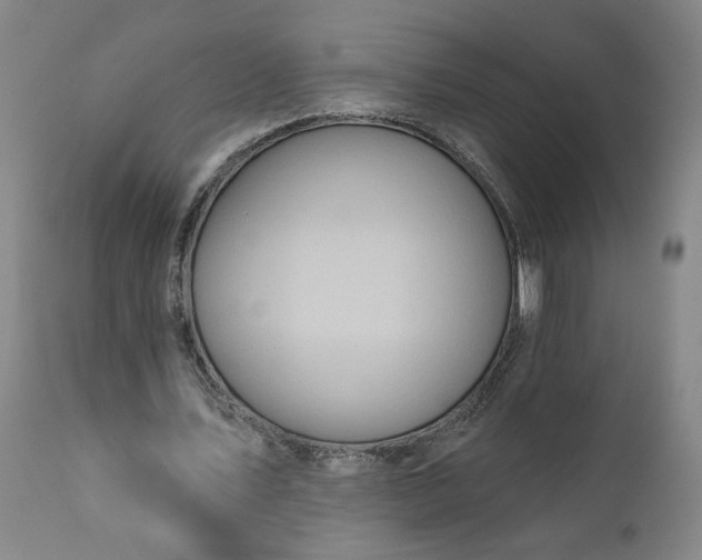 X0000111170579200907151301