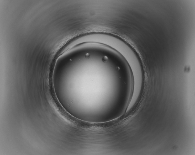 X0000111170581200907151301