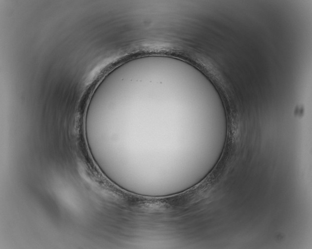 X0000111170583200907151301