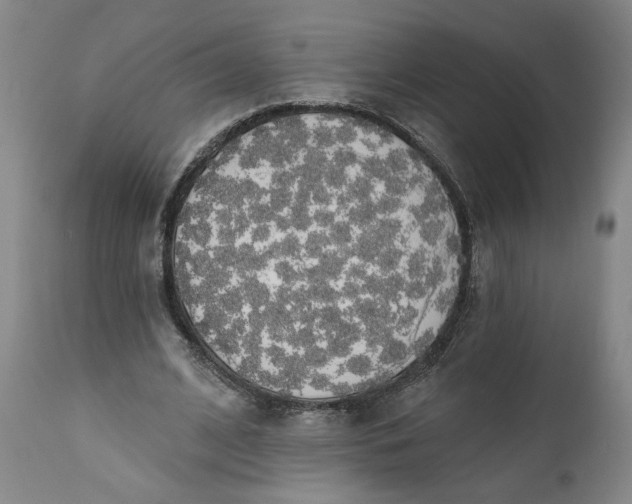 X0000111170584200907151301