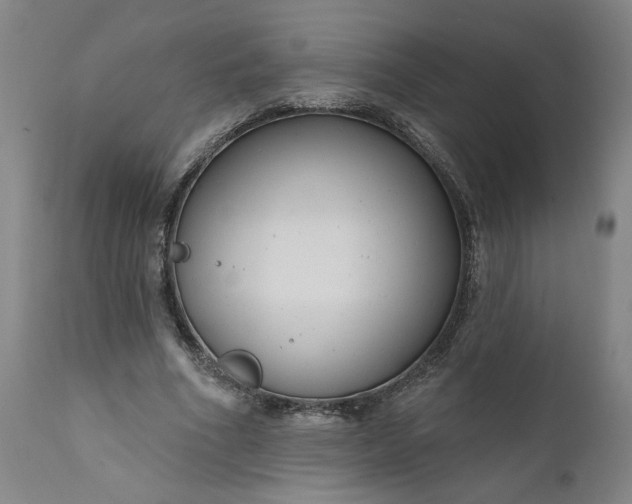 X0000111170586200907151301