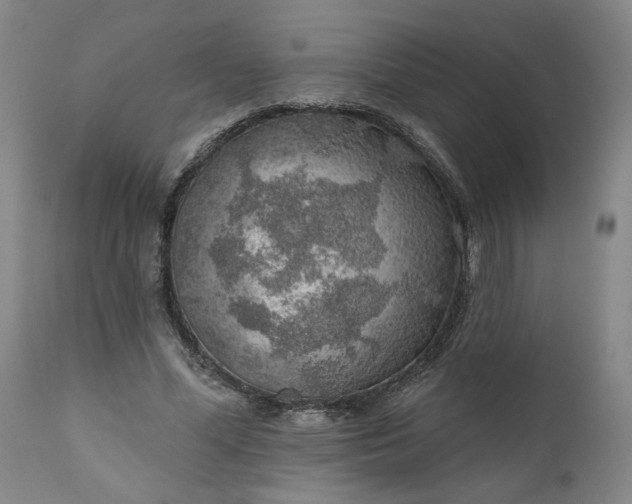 X0000111170588200907151301