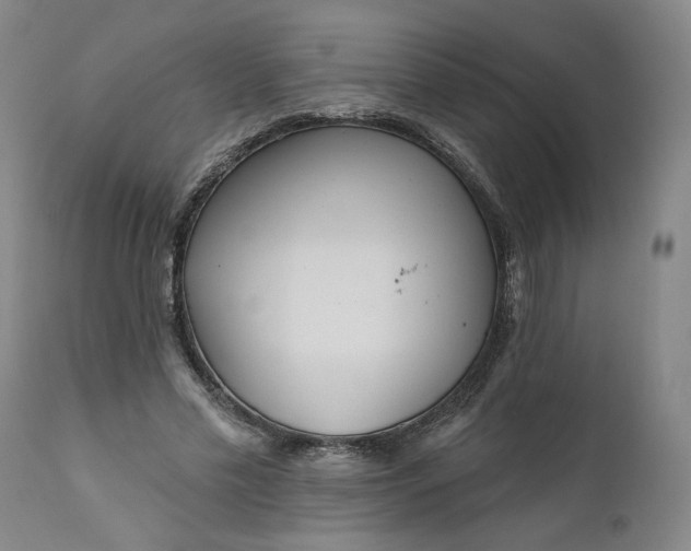 X0000111170589200907151301