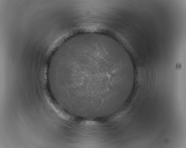 X0000111170590200907151301