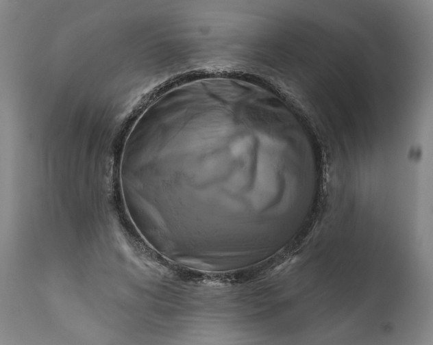 X0000111170592200907151301