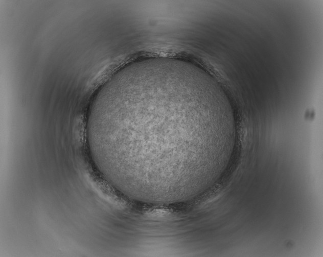 X0000111170594200907151301