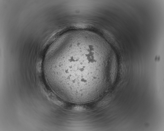 X0000111170596200907151301