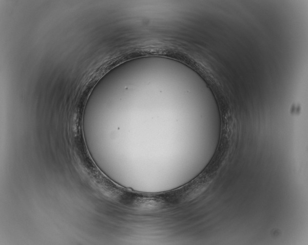 X0000111170597200907151301