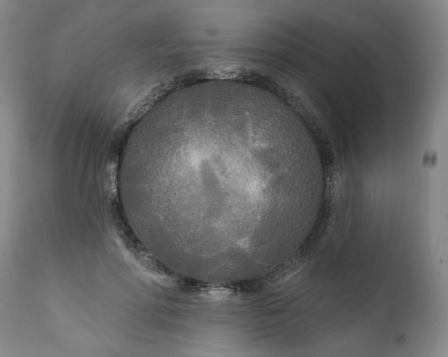 X0000111170598200907151301