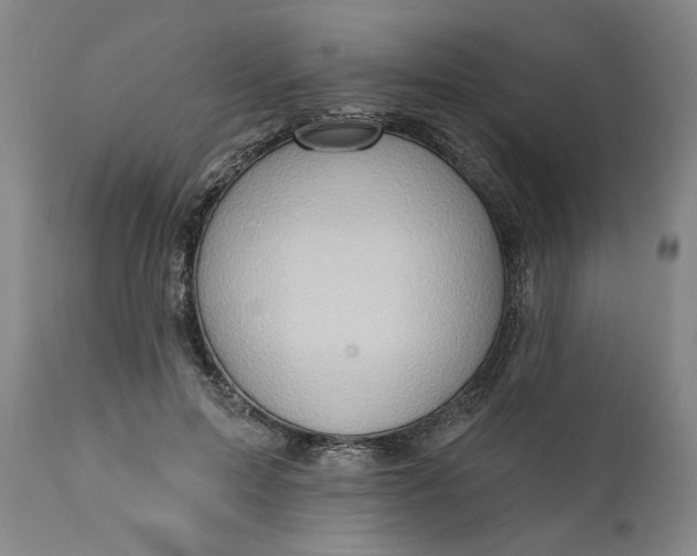 X0000111170599200907151301