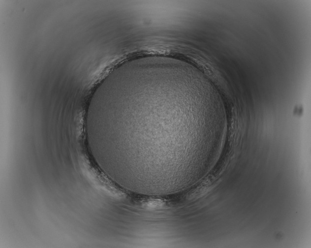 X0000111170600200907151301